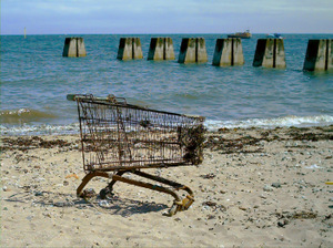 Improving conversion rates: getting the shopping cart to the checkout