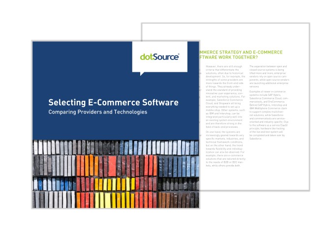 Updated White Paper: Selecting E-Commerce Software – Comparing Providers and Technologies